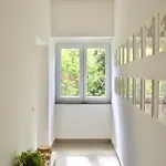 Le Forge San Mauro Cilento